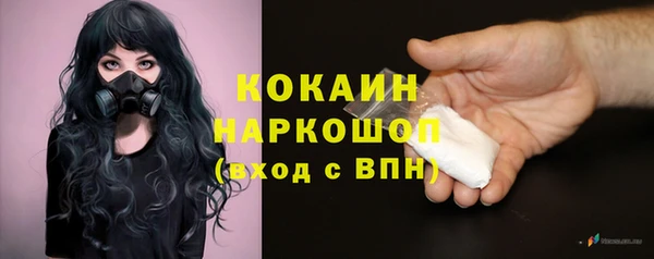 прущие крисы Шадринск